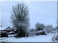 SJ7950 : Wereton Road in the snow by Jonathan Hutchins