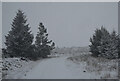 NC5420 : Track at North Dalchork, Sutherland, during Winter Snow Storm by Andrew Tryon