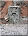 NY3768 : Flush bracket benchmark, Longtown Bridge by Adrian Taylor