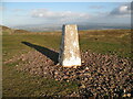 NT1961 : Triangulation Pillar, Scald Law by Adrian Taylor