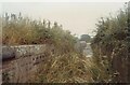 SJ6115 : Telford's iron aqueduct 3 - Longdon on Tern, Shropshire by Martin Richard Phelan