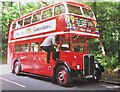 TQ0760 : Cobham Bus Museum - RT50 by Colin Smith