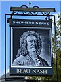 TQ5839 : Beau Nash Pub Sign by John P Reeves