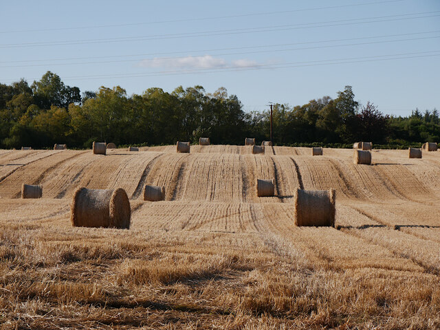 Harvested fields, Kilravock