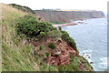 NO6945 : Clifftop vegetation north of Rumness by Adrian Diack