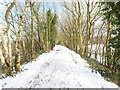 TG3027 : Snowy Weavers Way by David Pashley