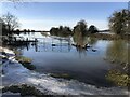 TF3902 : A gate reflected in the flood water - The Nene Washes by Richard Humphrey