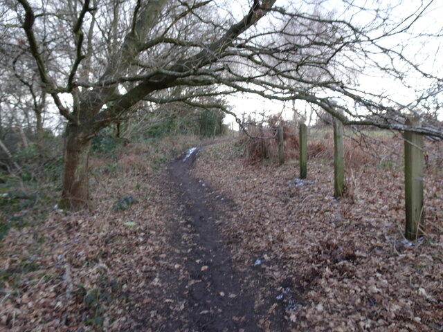 Wombourne Path