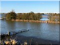 TF3802 : Submerged gate next to Morton's Leam - The Nene Washes by Richard Humphrey