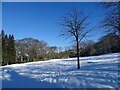 NZ1051 : Snowy scene in the park by Robert Graham