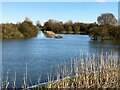 TF3902 : The eastern end - The Nene Washes by Richard Humphrey