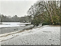 SD8303 : Snow Storm at Heaton Park Lake by David Dixon