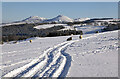 NT4933 : Snow-covered farmland on Touting Birks Hill by Walter Baxter