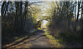 NZ3355 : Route of Leamside Line passing beneath bridge by Trevor Littlewood