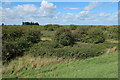 TF6533 : Snettisham Coastal Park by Hugh Venables