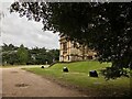 SK5339 : The eastern corner of Wollaton Hall by David Lally