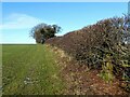 NY4453 : Public Footpath by Adrian Taylor