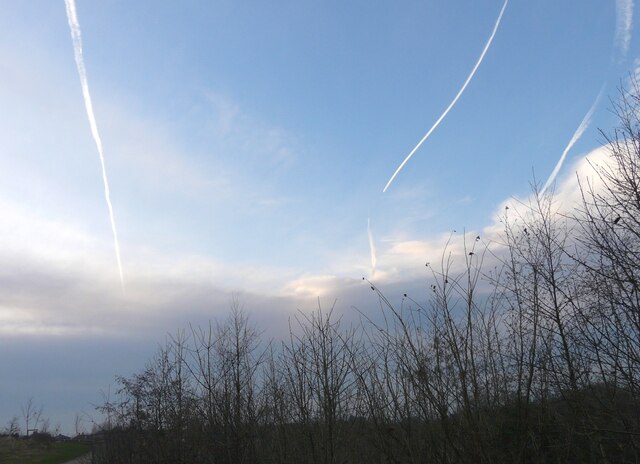 Contrails above Alder School