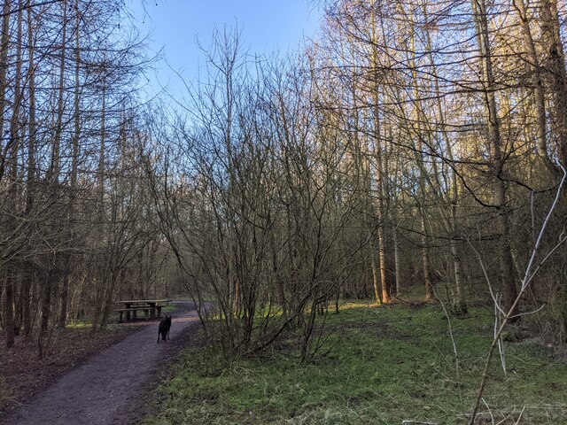 Path and picnic bench