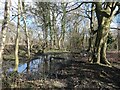 SE3423 : Flooded area, Stanley Marsh nature reserve by Christine Johnstone