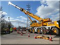 SX9290 : Using a mobile crane to lift Salmonpool Bridge onto dry land for repair by David Smith