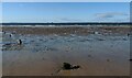 NO4501 : Anti-glider posts, Largo Bay, Fife by Claire Pegrum