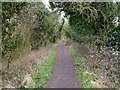 TG3526 : Weavers Way looking Southeast by David Pashley