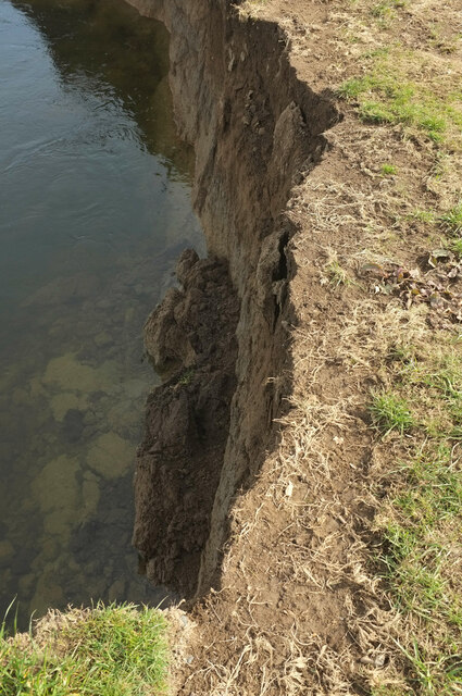 Eroded bank by the Teign