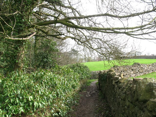 The Cumbria Way near Lawyers Wood