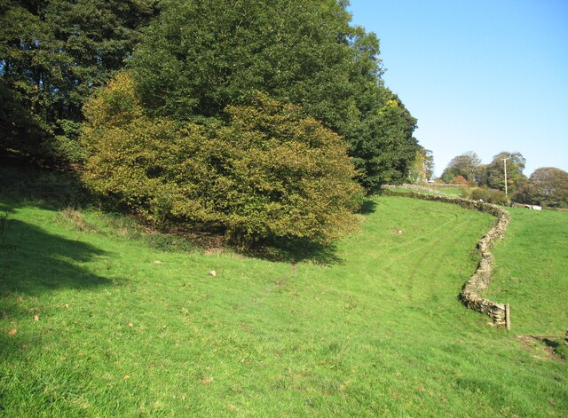 The Cumbria Way by Old Hall Wood