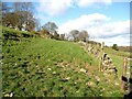 SD2779 : The Cumbria Way near Bortree Stile by Adrian Taylor