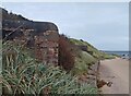 NO4002 : Pillboxes, Lundin Links, Fife by Claire Pegrum