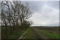  : Bridleway on the boundary of Langar Airfield by Tim Heaton