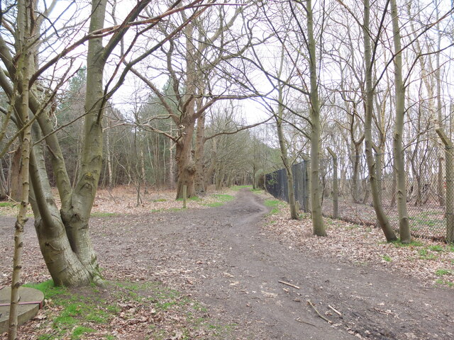 Track along the perimeter fence, MOD Woodbridge