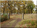 NH5937 : Gateposts, Aldourie by Craig Wallace