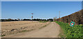  : Track to disused pit on Benacre estate by Helen Steed