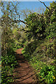 SX8962 : Path near Preston Primary School by Derek Harper