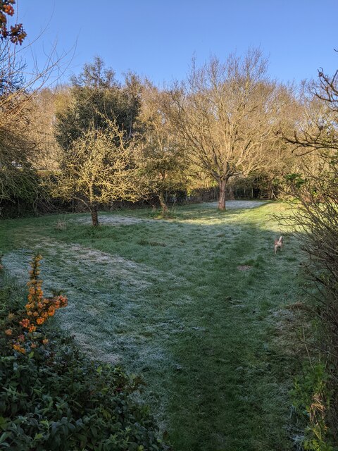 Frost on Easter Sunday