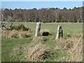 NZ0157 : Old gateposts by Oliver Dixon