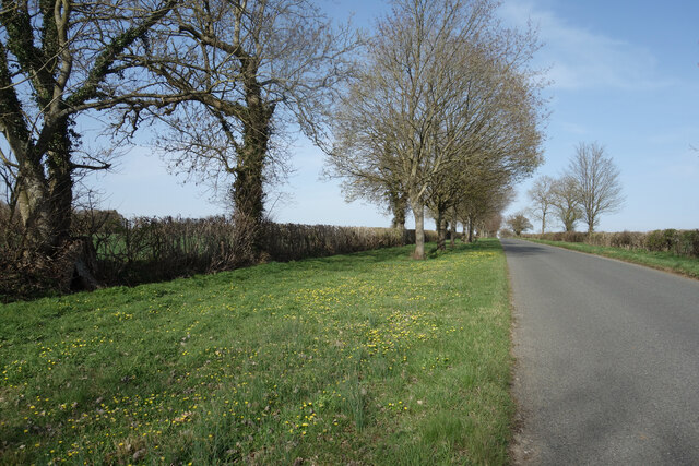 Wide Roadside Verge