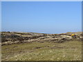 NJ9614 : Grassy dunes, Blackdog Rifle Range by Bill Harrison