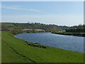 SK6541 : River Trent at Stoke Bardolph by Alan Murray-Rust