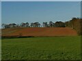 SE3649 : Green and red fields outside Sicklinghall by Stephen Craven