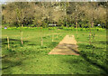 SX9364 : Former cricket pitch, Stoodley Meadow by Derek Harper