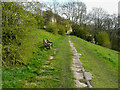 SE1026 : Footpath 9/381/2 approaching Kell Lane, Northowram by Humphrey Bolton