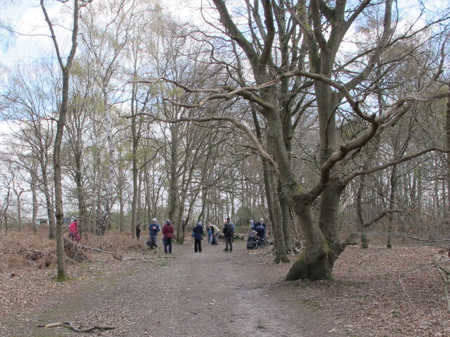 Rambling group in Egypt Woods