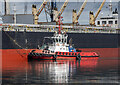 J3576 : Tug 'Masterman' at Belfast by Rossographer