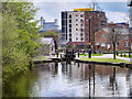 SJ8598 : Ashton Canal Basin at New Islington by David Dixon