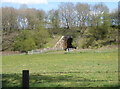 SO7974 : Disused railway line near Bewdley by Chris Allen