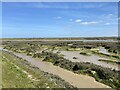 TQ9590 : Potton Creek at low tide by Trevor Harris